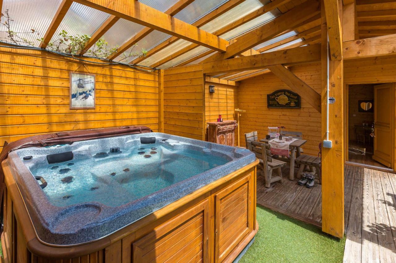 Gite&Spa Le Montagnard Saint-Jean-Saint-Nicolas Dış mekan fotoğraf